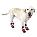 Doggie Duds Rain Boots Shoes Set of 4 Red - XX-Large