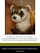Ferrets: History, Uses and Companionship Including Behaviors, Instincts Ownership Restrictions