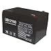 Universal Power Group 85949 Sealed Lead Acid Battery