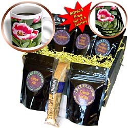 Flowers - Tulips - Coffee Gift Baskets - Coffee Gift Basket by 3dRose LLC