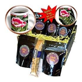 Flowers - Tulips - Coffee Gift Baskets - Coffee Gift Basket