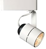 Juno™ Cylinder WhiteTrack Bullet Light