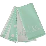 Aqua and White Placemats with Eiffel Tower and Ball Fringe, Set of 4 by KTF