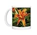 Photo Mugs of Daylily (Hemerocallis) from ClownFish Photo