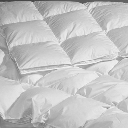 Highland Feather Manufacturing 40-Ounce La Palma Goose Down Duvet, Queen, White