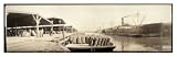 Historic A Docks at Savannah, Georgia, c. 1909, Panorama (M) (WS)