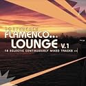 South Beach Flamenco Lounge, Vol. 1