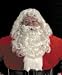 Professional Santa Claus Wig and Beard Set Christmas Xmas Holiday Party Outfit Costume Accessory