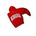 University of Nebraska at Lincoln UNL Cornhuskers - Hooded Sweatshirt - Classic Arched NEBRASKA text