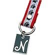 Dog Paw Print Letter N Pet Lover Charming KEYper Keychain