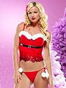 Miss Claus Sexy Christmas Costume