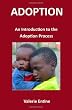 Adoption: An Introduction to the Adoption Process