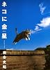 ネコに金星―ニッポンの猫写真集