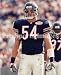 Brian Urlacher Chicago Bears 8x10 Photo