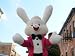 Search : GIANT SIZE 5 and 1/2 FEET TALL STUFFED BUNNY RABBIT WEARING TUXEDO - HUGE PLUSH JUMBO BIG LARGE STUFFED ANIMAL - AMERICAN MADE IN THE USA AMERICA - PERFECT FOR BUSINESS EASTER DISPLAY FOR BUSINESSES (or Anytime) AND GREAT GIFT TOO - COLOR: PINK COLOR TUXEDO