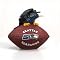 SC Sports Seattle Seahawks Football Paperweight