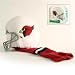 Arizona Cardinals Golf Club Head Cover