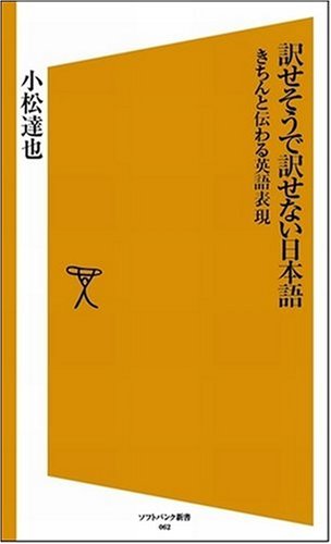 訳せそうで訳せない日本語 きちんと伝わる英語表現 (ソフトバンク新書)