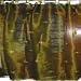 Drapes Panel 2 Organza Mehendi Green Embroidered Sari Curtains