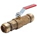 Cash Acme 22185 Shark Bite Push-Fittings Ball Valve, 3/4-Inch