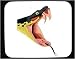 Decorated Mouse Pad with head, dangerous, snake, vertebrate, anatomy, giftorm, 