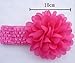 Cuddle Baby Girl's Elastic Headbands with Chiffon Flower Petal (Pack of 10)