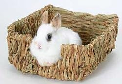 Peter's Woven Grass Pet Bed