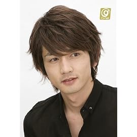 メンズウィッグ　ウィンディーショート　ディープシナモン　J-5709（男性かつら）
