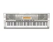 Casio WK200 76 Key Personal Keyboard with MP3/Audio Connection and 570 Tones
