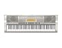 Casio WK-200 76-Key Personal Keyboard with MP3/Audio Connection and 570 Tones