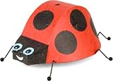 Light - Ladybug