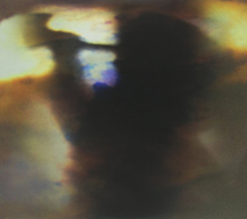 Album art for Fall Be Kind [12inch Vinyl Disc] by Animal Collective
