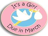 Stork Pin - It's A Girl Due in March