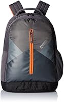 American Tourister Ebony Grey Casual Backpack (Ebony Backpack 04_8901836132762)