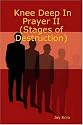 Knee Deep In Prayer II (Stages of Destruction)