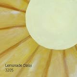  : Teacup Tables Lemonade Daisy Table Set Hand Painted Chidrens Table with Stools