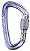 Black Diamond Nitron Screwgate Carabiner Black Diamond Nitron Screwgate Carabiner