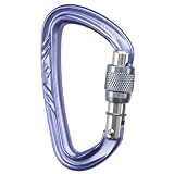 Black Diamond Nitron Screwgate Carabiner