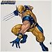 Wolverine Giant Wall Decal