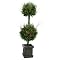 Cedar Pine Twig Potted Topiary - Dark Green
