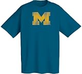 Michigan Wolverines NCAA Distressed T-Shirt