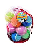 Chien Toy - 12 Pack Tennis Ball