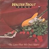 LOVE THAT WE ONCE KNEW 7" (45) DUTCH PROVOGUE 1990 B/W LOVE IN VAIN (PRS10307) PIC SLEEVE