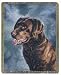 New! Woven Designer Chocolate Lab Throw by Linda Pickin New! Woven Designer Chocolate Lab Throw by Linda Pickin