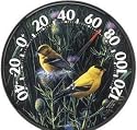 Accurite ACCURITE1711 Audubon Collecting 12 In - Outdoor Goldfinches II