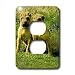 Dogs Chinese SharPei - Chinese SharPei - Light Switch Covers - 2 plug outlet cover
