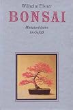 Produkt-Bild: Bonsai. Miniaturb&auml;ume im Gef&auml;ss