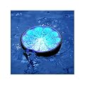 Colour Changing Floating Fruit Spa Bath Mood Light