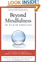 Beyond Mindfulness in Plain English: An Introductory Guide to Deeper States of Meditation