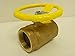 Apollo 70-108-15 Ball Valve, Brass, Inline, 2 NPT 600 CWP